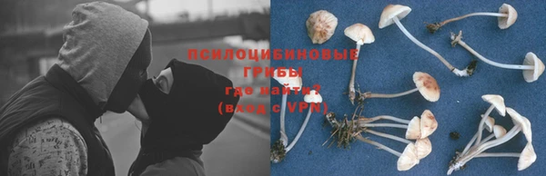ГАЛЛЮЦИНОГЕННЫЕ ГРИБЫ Сосновоборск