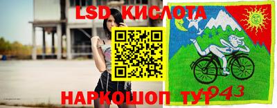 ПСИЛОЦИБИНОВЫЕ ГРИБЫ Ирбит