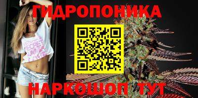 индика Ипатово
