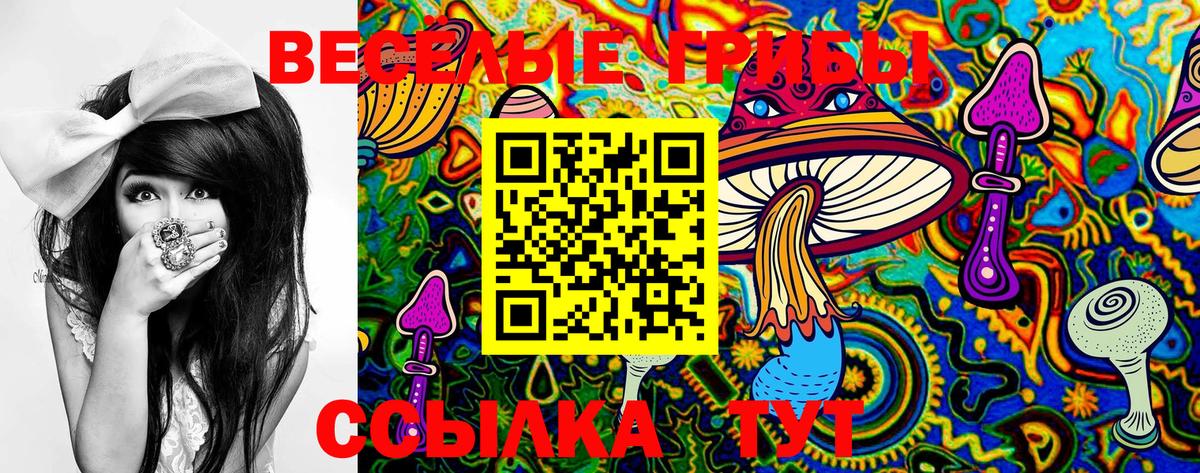 Галлюциногенные грибы MAGIC MUSHROOMS  где купить наркотик  Черкесск 