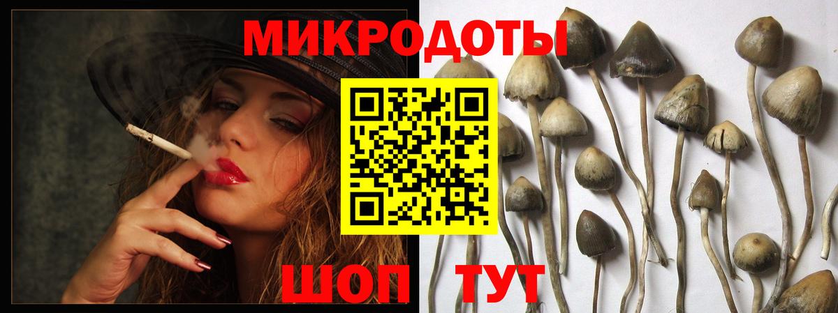 Псилоцибиновые грибы Magic Shrooms Черкесск