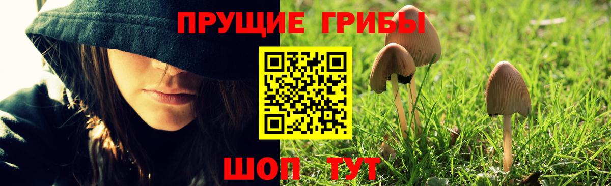Галлюциногенные грибы MAGIC MUSHROOMS  Вход с VPN  Черкесск  Галлюциногенные грибы MAGIC MUSHROOMS 